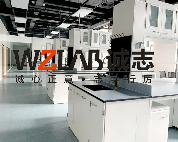 農(nóng)藥廠房實驗室整體建設(shè)