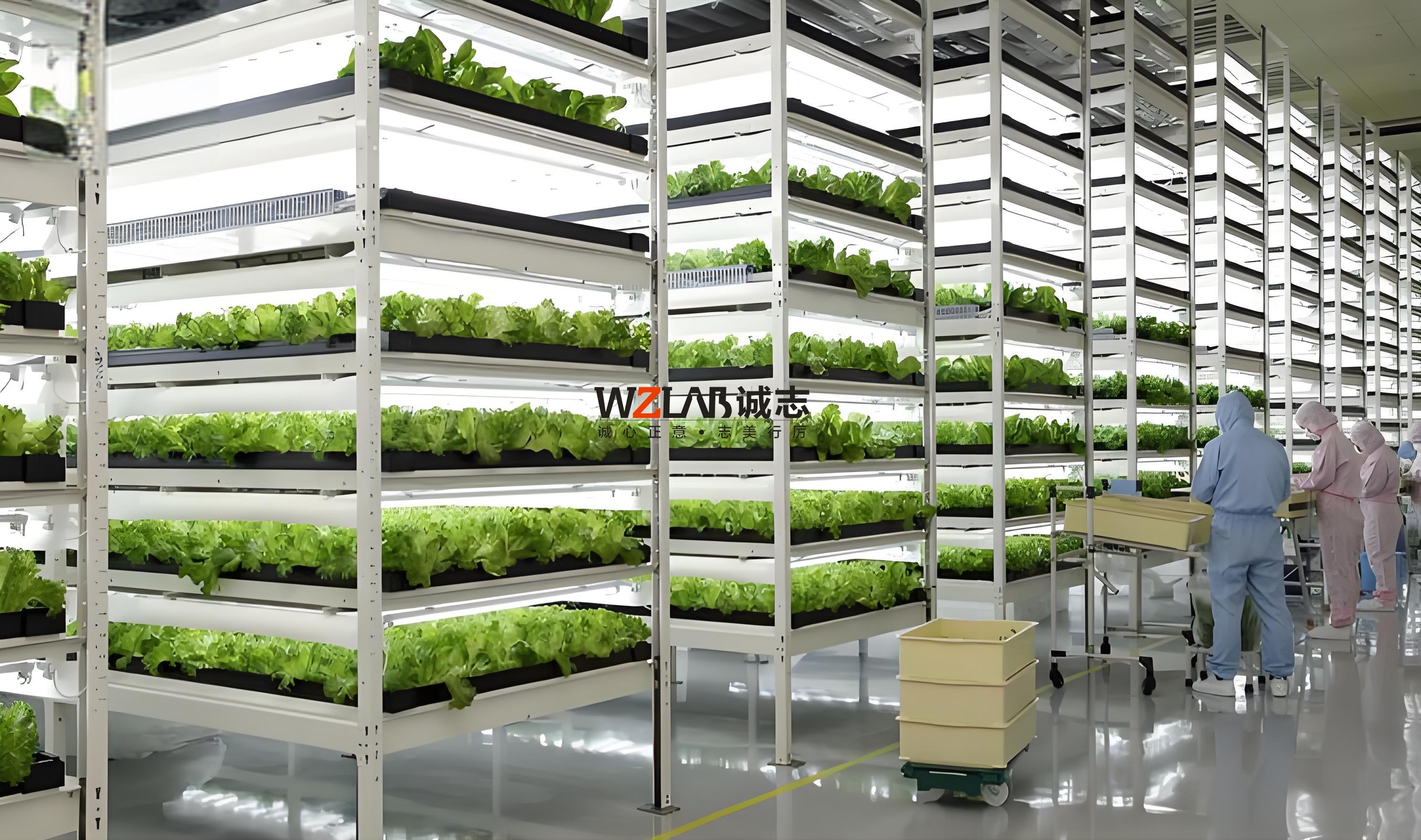 無土栽培實(shí)驗(yàn)室設(shè)計(jì)方案