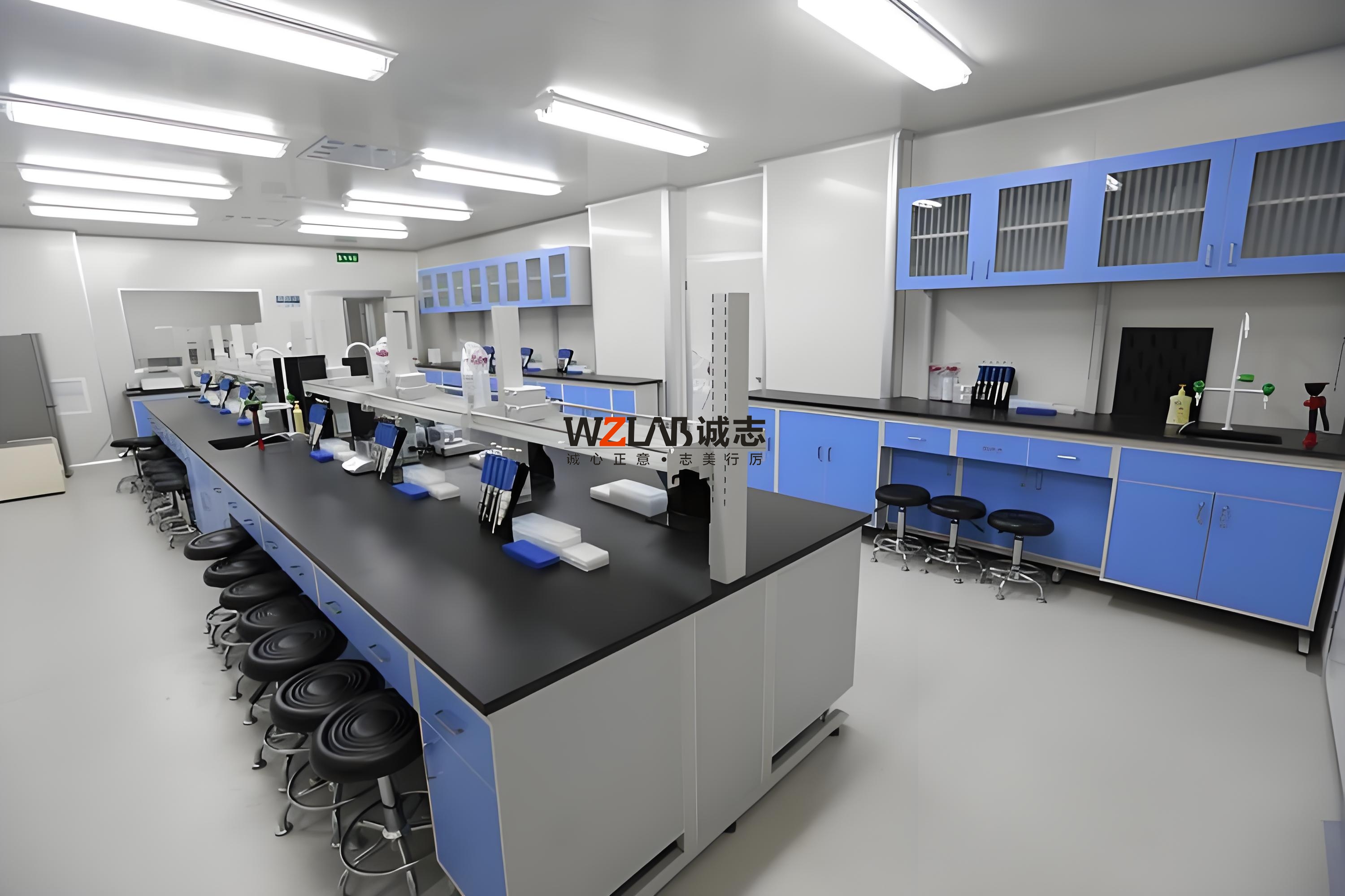 肉制品檢測(cè)檢驗(yàn)實(shí)驗(yàn)室規(guī)劃設(shè)計(jì)與施工