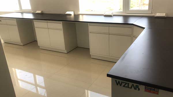 內(nèi)鄉(xiāng)牧原綜合體化驗室實驗臺項目