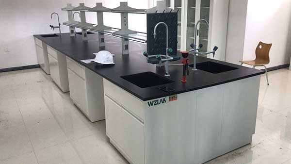 內(nèi)鄉(xiāng)牧原綜合體化驗室實驗臺項目